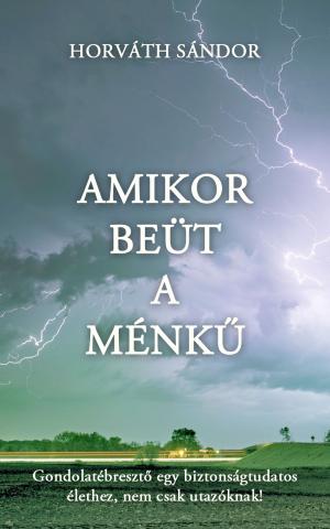 bigCover of the book Amikor beüt a ménkű by 