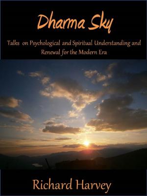 Cover of the book Dharma Sky by DAVID KENNY
