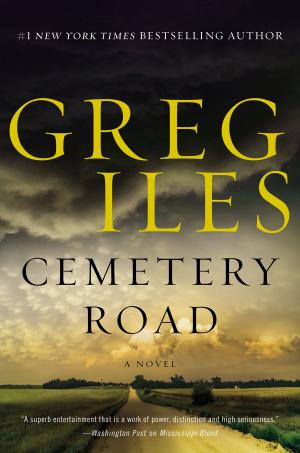 Cover of the book Cemetery Road by Joy-Ann Reid