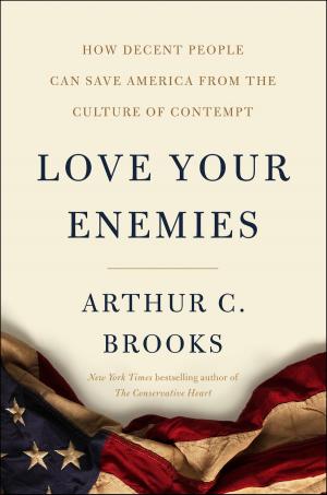 Book cover of Love Your Enemies
