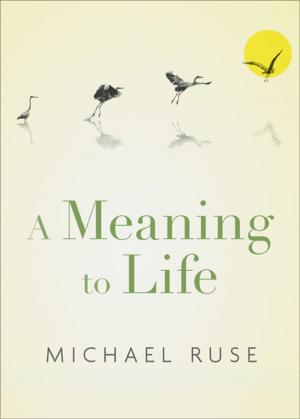 Book cover of A Meaning to Life