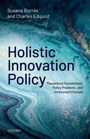 Cover of the book Holistic Innovation Policy by Amy M. Froide