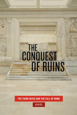 Cover of the book The Conquest of Ruins by Stanley Fish