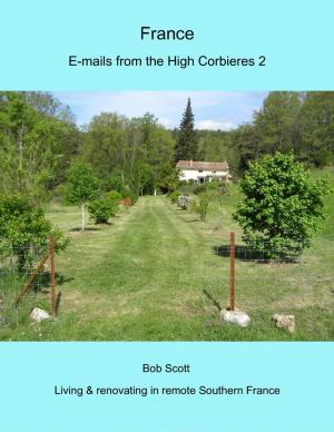 Cover of the book France - E-mails from the High Corbieres 2 by R. L. Vaughan