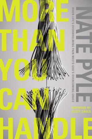 Cover of the book More Than You Can Handle by Paul David Tripp