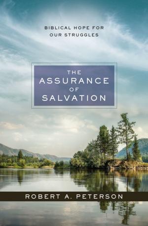 Cover of the book The Assurance of Salvation by J. Scott Duvall, Verlyn Verbrugge, Zondervan