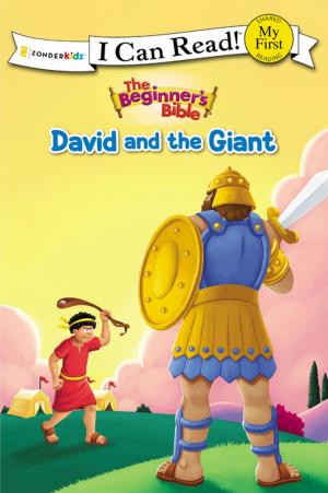 Cover of the book The Beginner's Bible David and the Giant by Dandi Daley Mackall