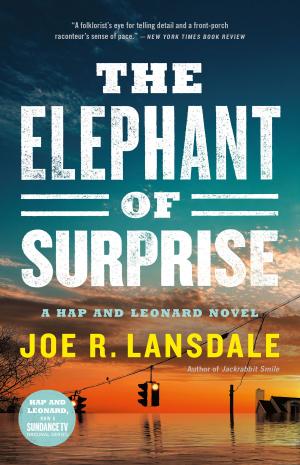 Cover of the book The Elephant of Surprise by Dan Simmons