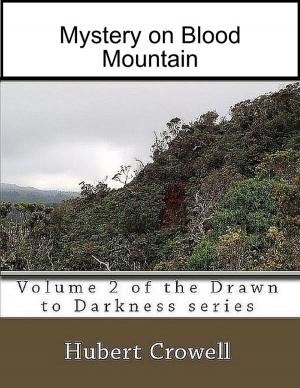 Cover of the book Mystery On Blood Mountain, Volume 2 of Drawn to Darkness by Tina Long