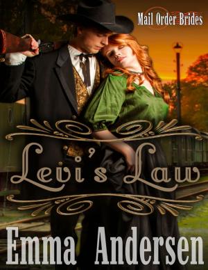 Cover of the book Levi's Law by Lewis McDonald