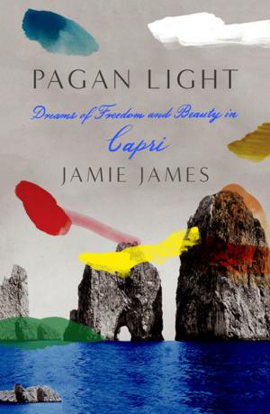 Cover of the book Pagan Light by Peter H. Stone