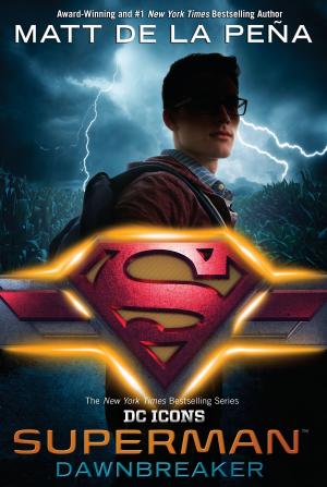 Cover of the book Superman: Dawnbreaker by Salla Simukka