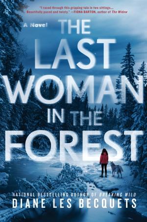 bigCover of the book The Last Woman in the Forest by 