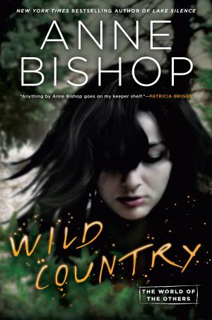 bigCover of the book Wild Country by 