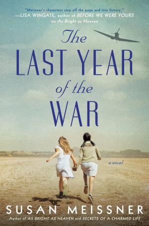 bigCover of the book The Last Year of the War by 