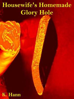 bigCover of the book Housewife's Homemade Glory Hole by 