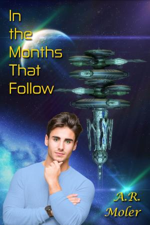 Book cover of In the Months That Follow