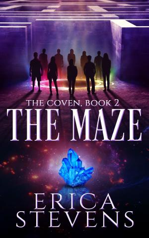Cover of the book The Maze (The Coven, Book 2) by Gary Moore