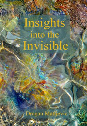 Cover of the book Insights into the Invisible by Sarah PJ White