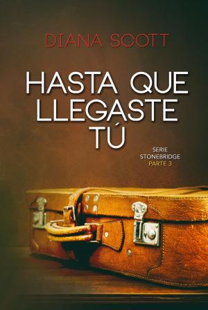 Book cover of Hasta que llegaste tú
