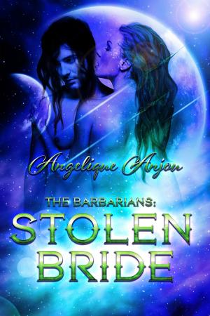 Cover of the book The Barbarians: Stolen Bride by Kimberly Zant
