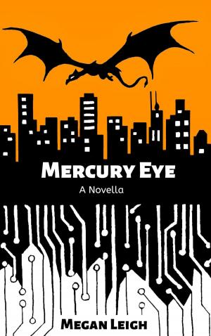 Cover of the book Mercury Eye: A Novella by David Garrett