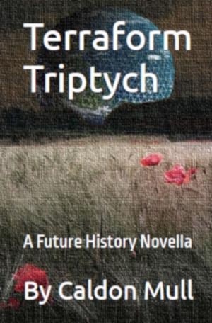 Cover of the book Terraform Triptych by Emma Taylor