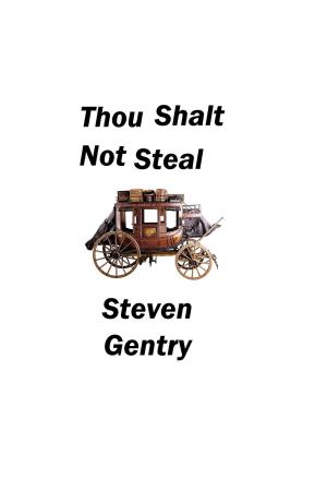 Cover of the book Thou Shalt Not Steal by Jeffrey Allen Davis