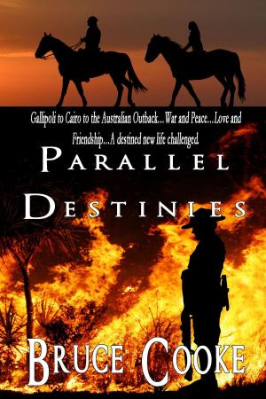 Cover of the book Parallel Destinies by Gray Dixon