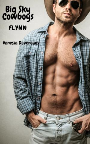 Cover of the book Flynn by Susan Palmquist