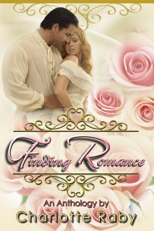 Cover of the book Finding Romance by Sarah Witenhafer