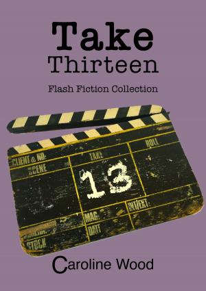 Cover of the book Take Thirteen by A. D. Adams