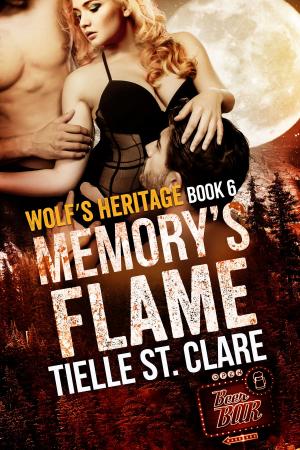 Cover of the book Memory's Flame by Penelope Jane Kent
