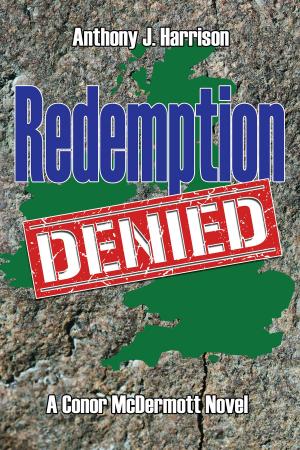 Cover of the book Redemption Denied by Michael Canfield