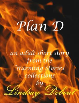 Cover of the book Plan D by Robin Watergrove