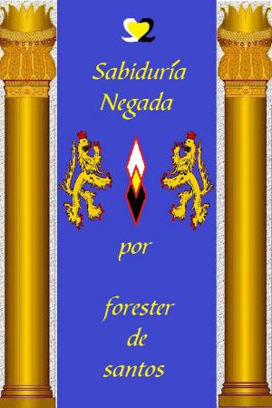 Cover of the book Sabiduría Negada by EJ Divitt