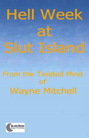 Cover of the book Hell Week at Slut Island by V.W. Singer