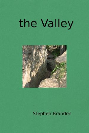 Cover of the book The Valley by Stephen Brandon