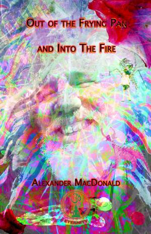Book cover of Out of the Frying Pan and into the Fire