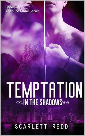 Book cover of Temptation in the Shadows (Book One of the Vice Caine Series)