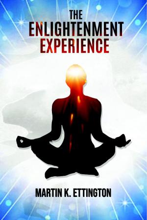 Cover of the book The Enlightenment Experience by Martin Ettington