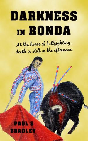 Cover of the book Darkness in Ronda by Francis Chang