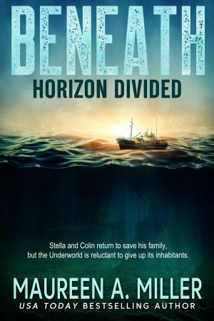 Book cover of Horizon Divided