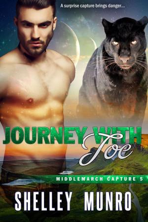 Cover of the book Journey With Joe by KIM LAWRENCE