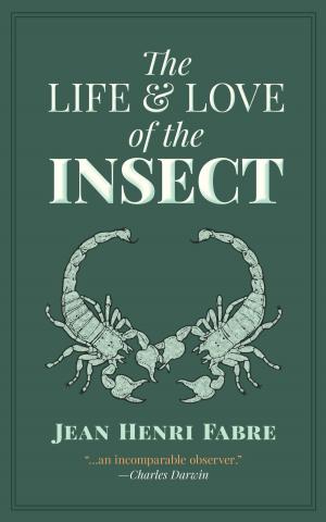Cover of the book The Life and Love of the Insect by Willa Cather