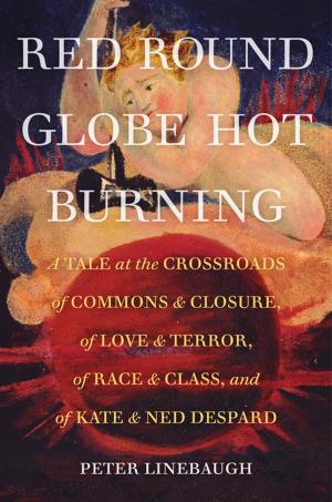 Cover of Red Round Globe Hot Burning