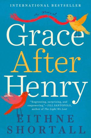 Cover of the book Grace After Henry by Charlotte Perkins Gilman, Helen Lefkowitz Horowitz
