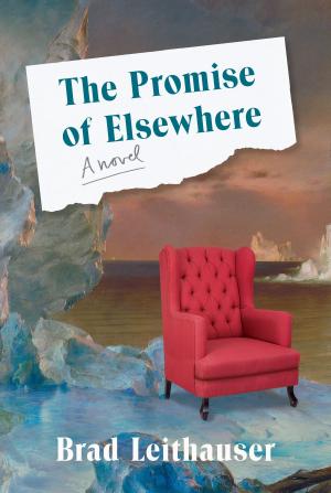 Cover of the book The Promise of Elsewhere by Suzanne Goin, Teri Gelber