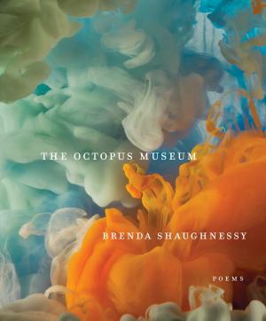 Cover of the book The Octopus Museum by Hakan Nesser
