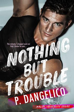 Cover of the book Nothing But Trouble by Sarah Tregay